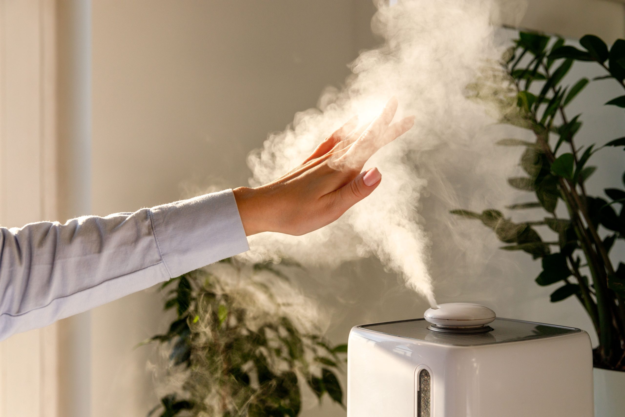 Whole-Home Humidifier